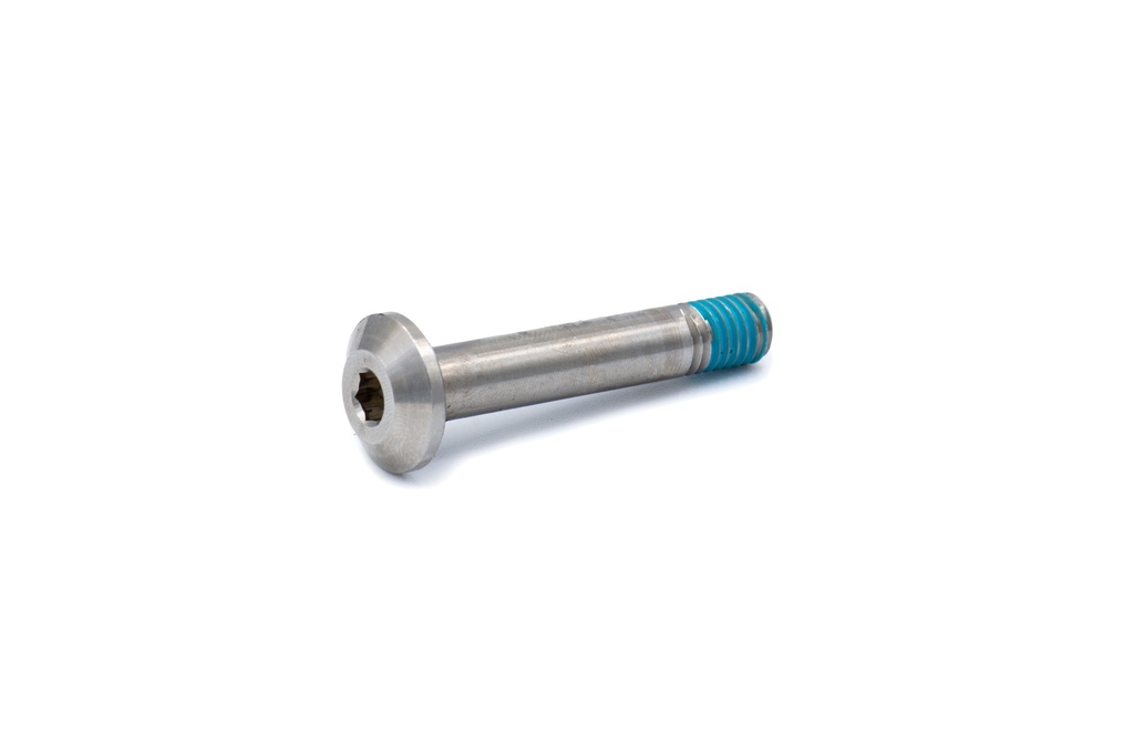 [003.007.0024] Shock Screw 8x1.25x58