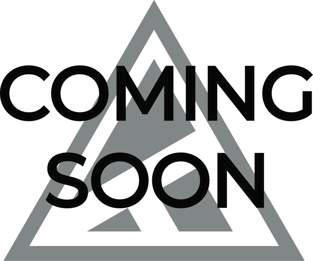 V2 Rocker Pivot Main Shaft Kit